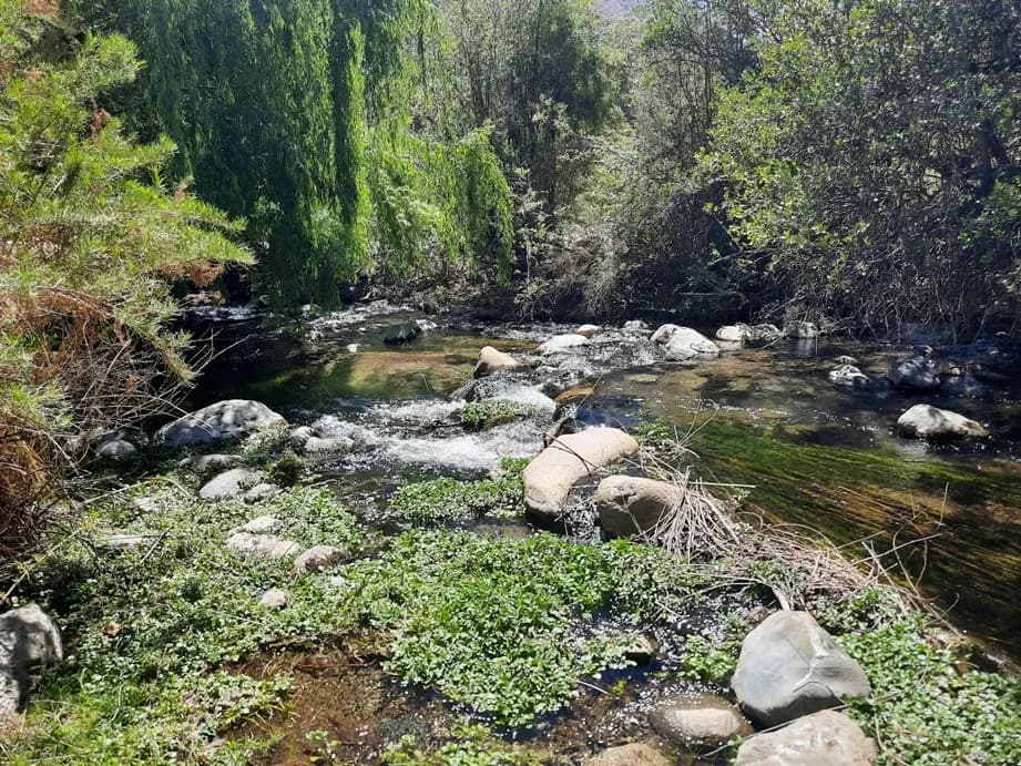 Alianzas y convenios de Fundación Puquial con instituciones para agua potable rural